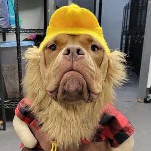 Meet your Posher, Paula